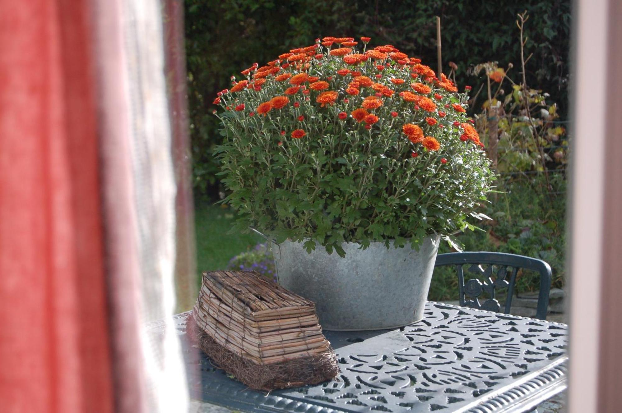 Beaufort Lodge B&B & Cottage Dış mekan fotoğraf